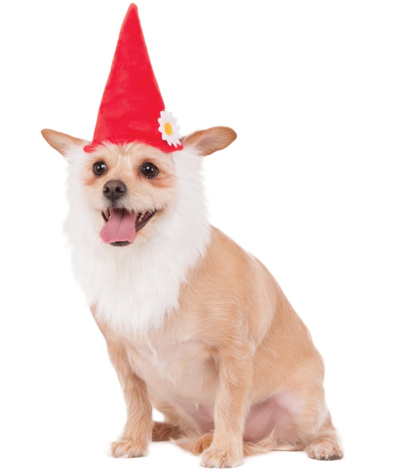 Rubies Garden Gnome Pet Hat with Beard for Dogs or Cats, Medium/Large - Image 1